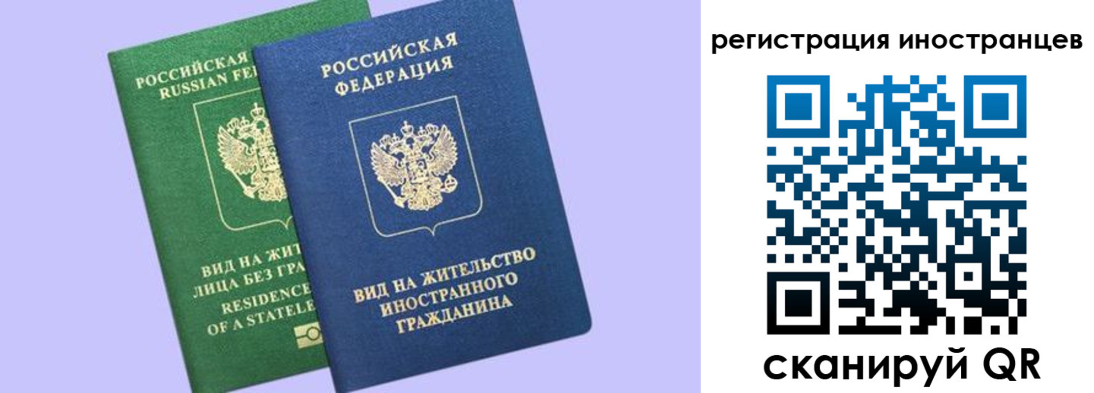временная прописка в Коле