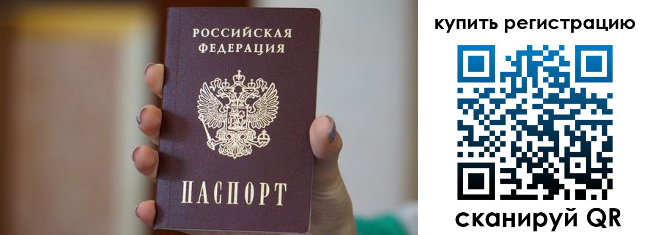 прописка в Коле